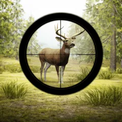 Contract Deer Hunter