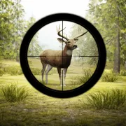 Contract Deer Hunter
